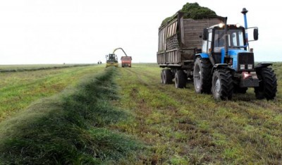 В Новосибирской области продолжается заготовка сена и сенажа