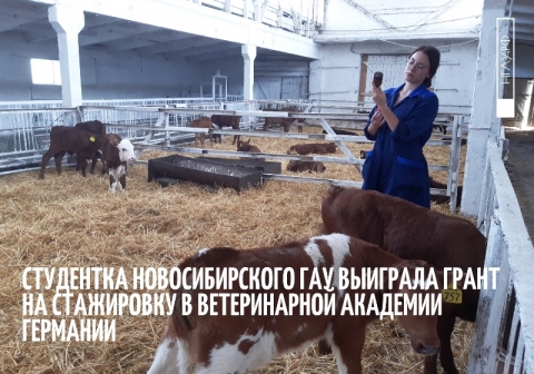 Студентка Новосибирского ГАУ пройдёт стажировку в Германии по программе Ветеринарной Академии HCS