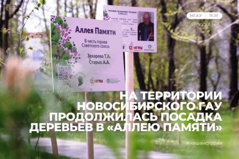 На территории Новосибирского ГАУ продолжилась посадка деревьев в «Аллею Памяти»